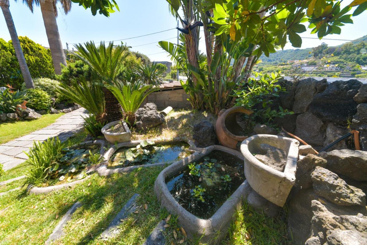 Villa Stefania Barano dʼIschia Екстериор снимка
