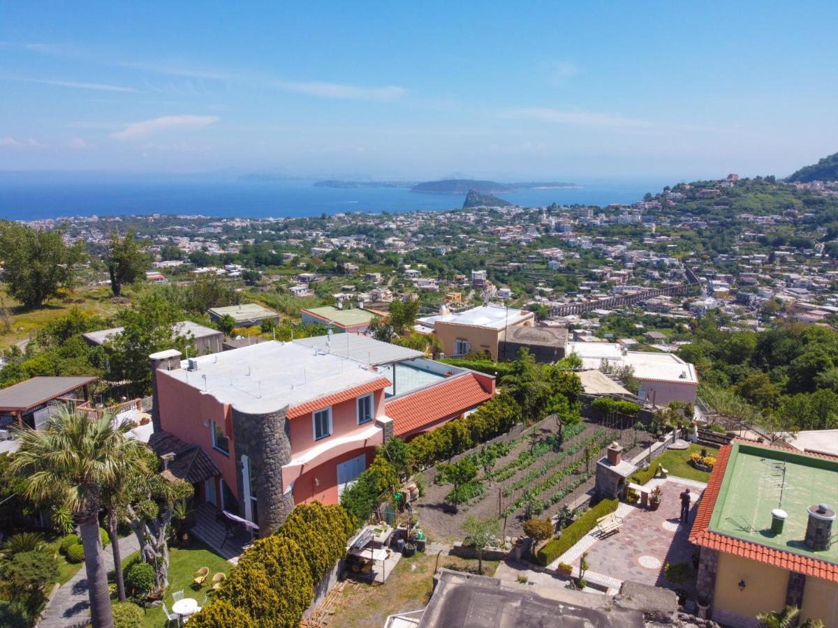 Villa Stefania Barano dʼIschia Екстериор снимка